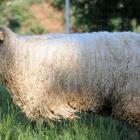 Wine Country Private Working Sheep Farm; Rustic Elegance Villa Темекула Екстериор снимка